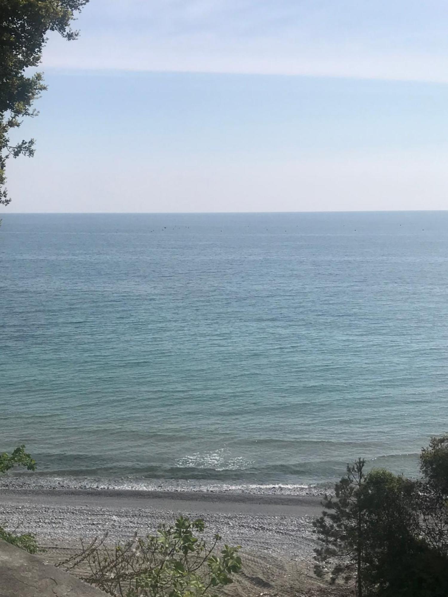 Zeusplace Seaside Home Private Beach And Parking ปลากา ลิโตโคโร ภายนอก รูปภาพ