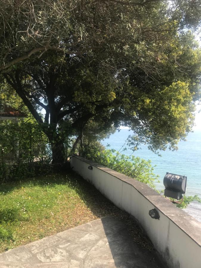 Zeusplace Seaside Home Private Beach And Parking ปลากา ลิโตโคโร ภายนอก รูปภาพ